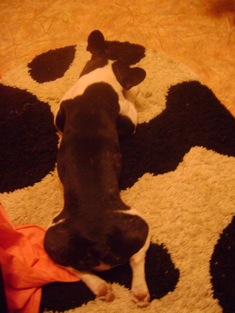 Мария Веселова | Семенов