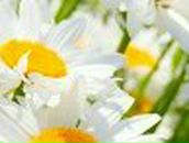 Ирина Гришина ॐღPеaCeღॐ | Москва