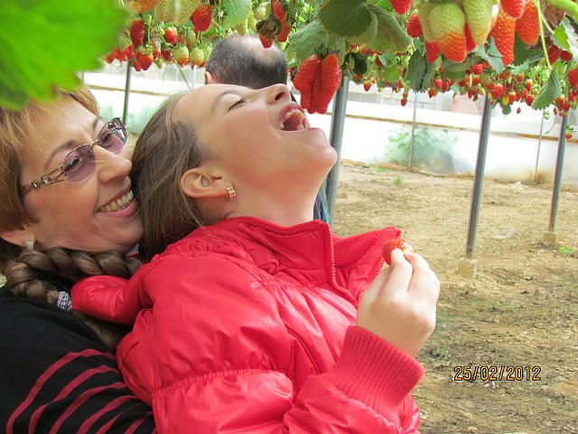 Ирина Зарицкая | Миргород