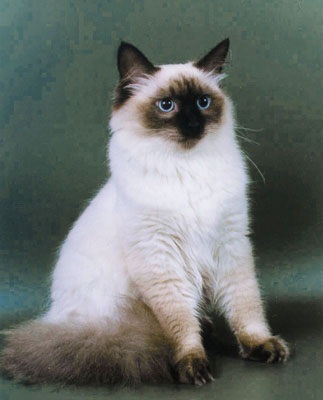 №101, Евгения Васильева, 36 лет, Санкт-Петербург №101, Евгения Васильева, 36 лет, Санкт-Петербург