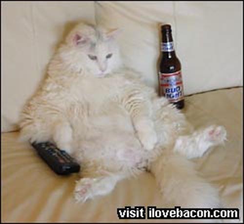 Илья ******* | Москва