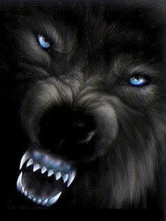 Павел Петров | Москва