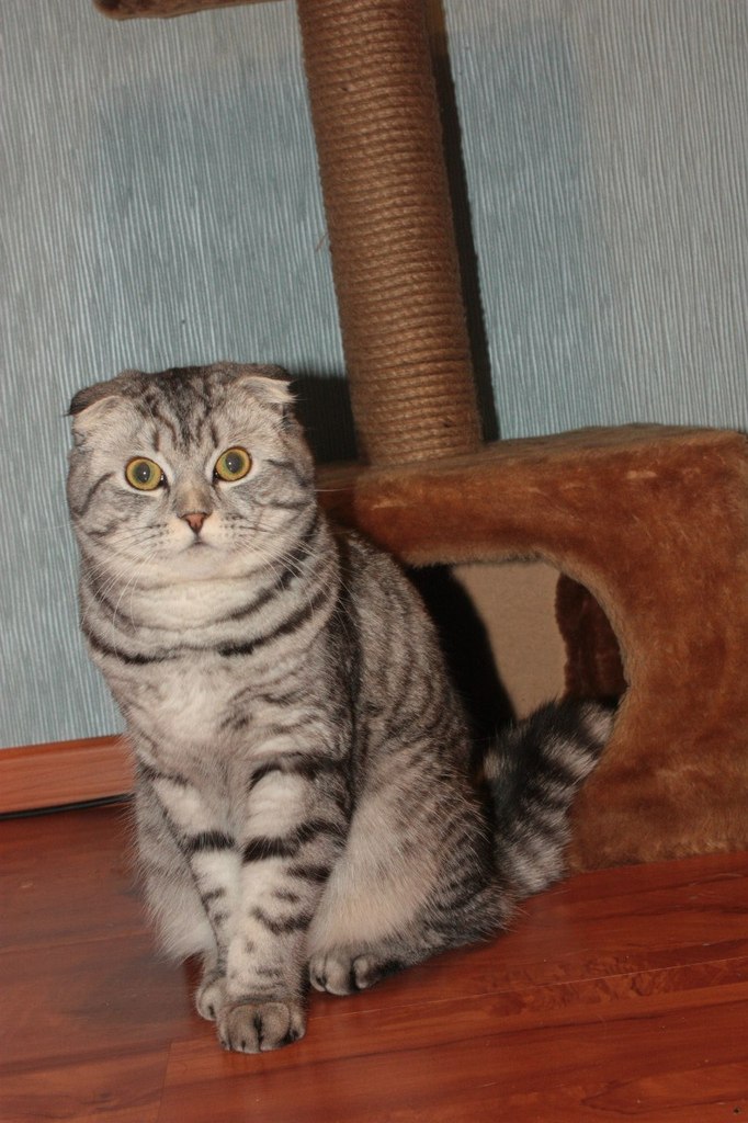 Екатерина Михайлова | 