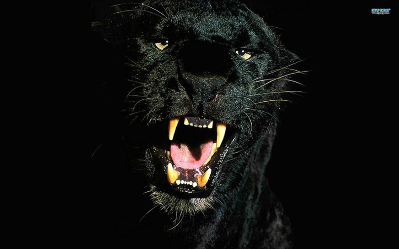 Артем Иванов Денисович | Витебск