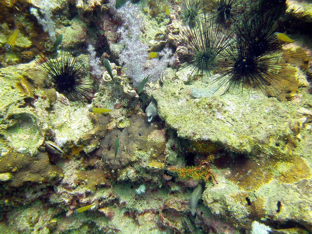 Марат Жандосов | Алматы