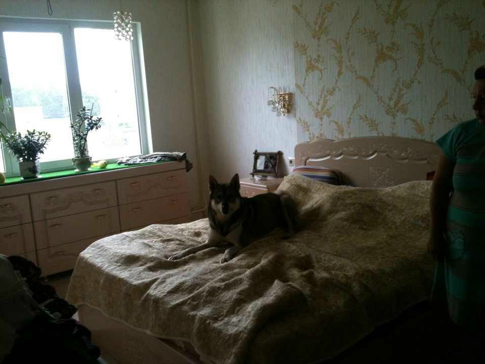 Альфред Иванов | Волгоград