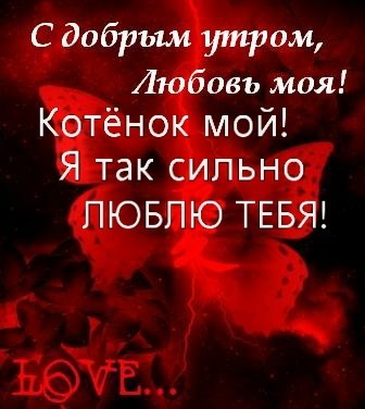 №6, Аліночка Мельник №6, Аліночка Мельник