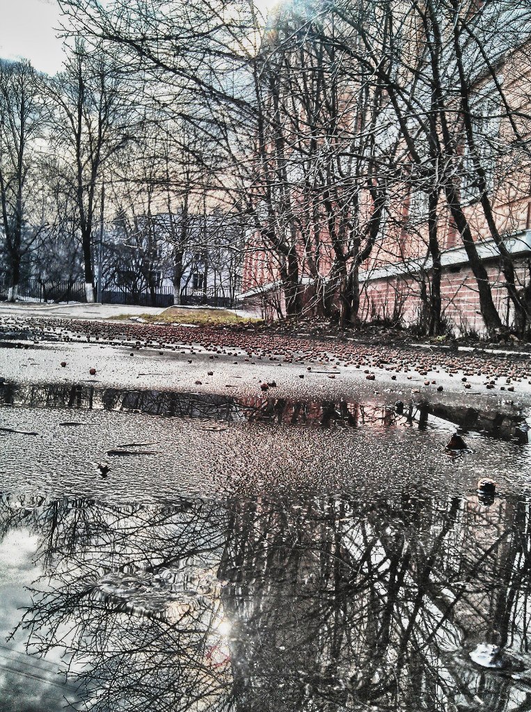 Антон Ерохин | Москва