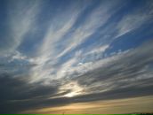 №31 Дина Романова 08.08: профиль, фото, статус - ВКонтакте