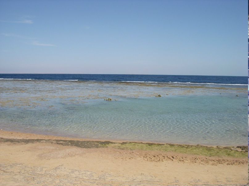 Татьяна Мильке(Педанова) | Москва