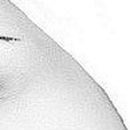 Сюзанна Манукян | Москва