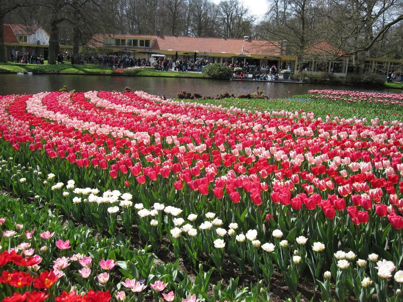 Валентина Стахира | Eindhoven