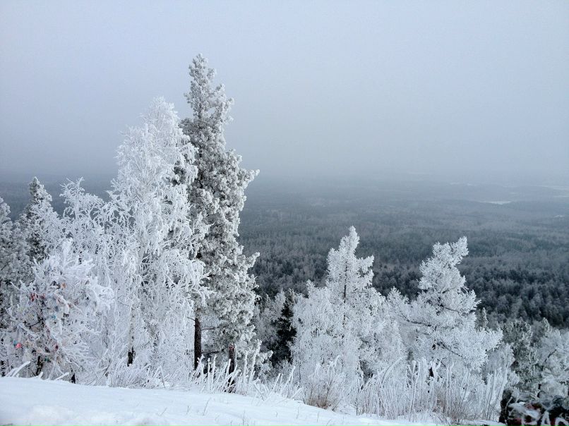 Василий Голосов | Киров