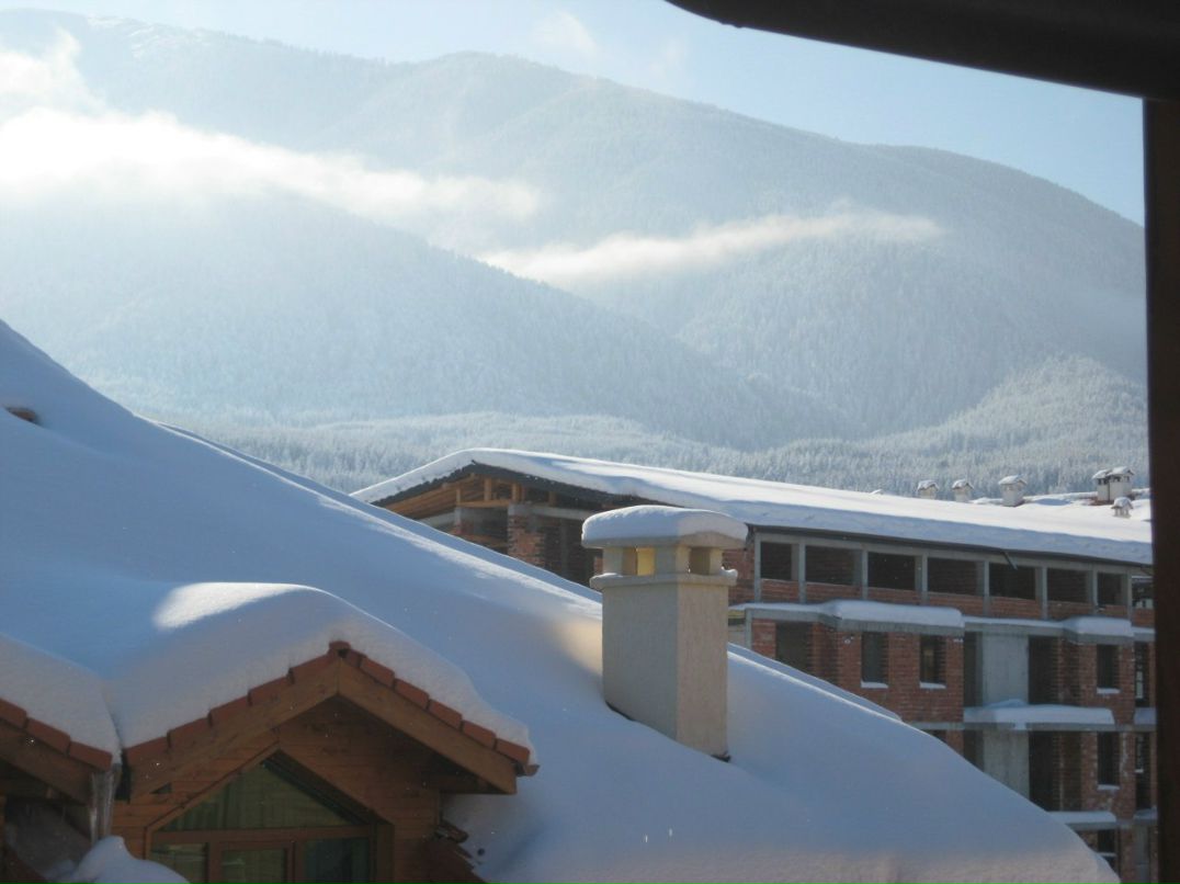 Аня Беркут | Кишинев