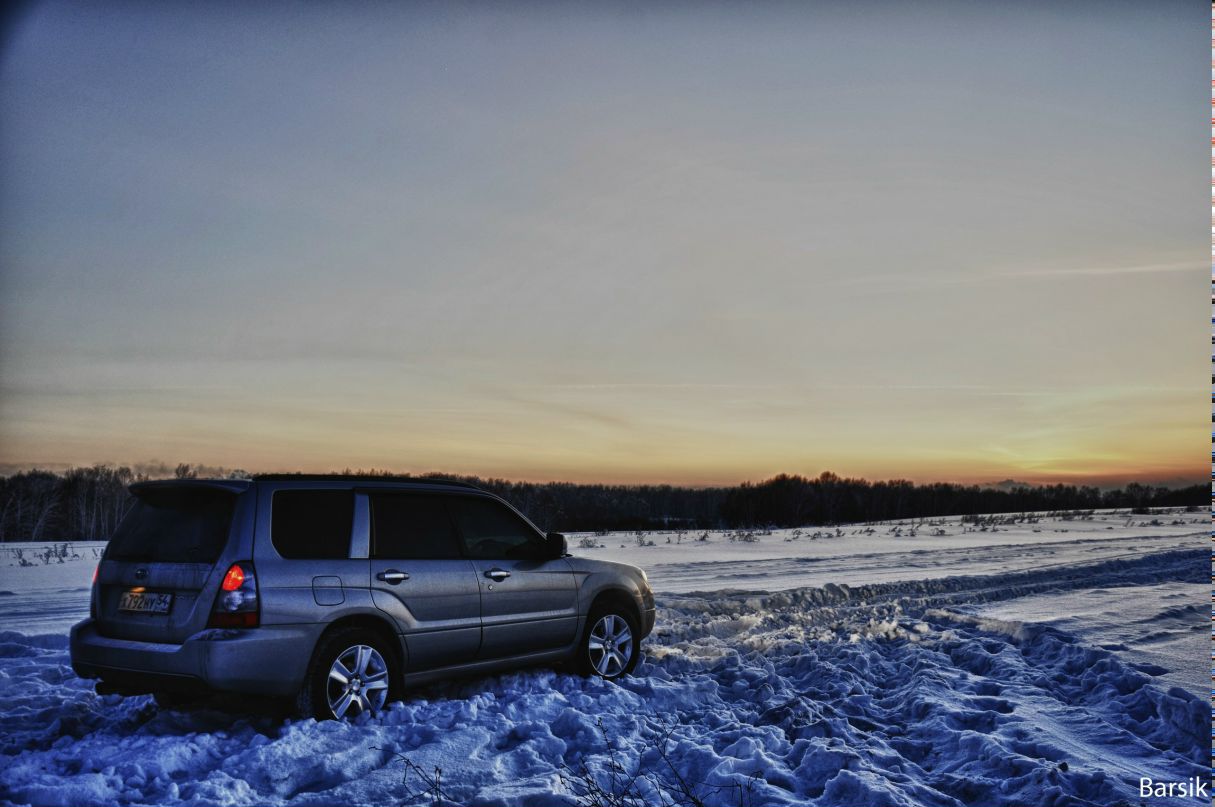 Савелий Муравьев | Новосибирск