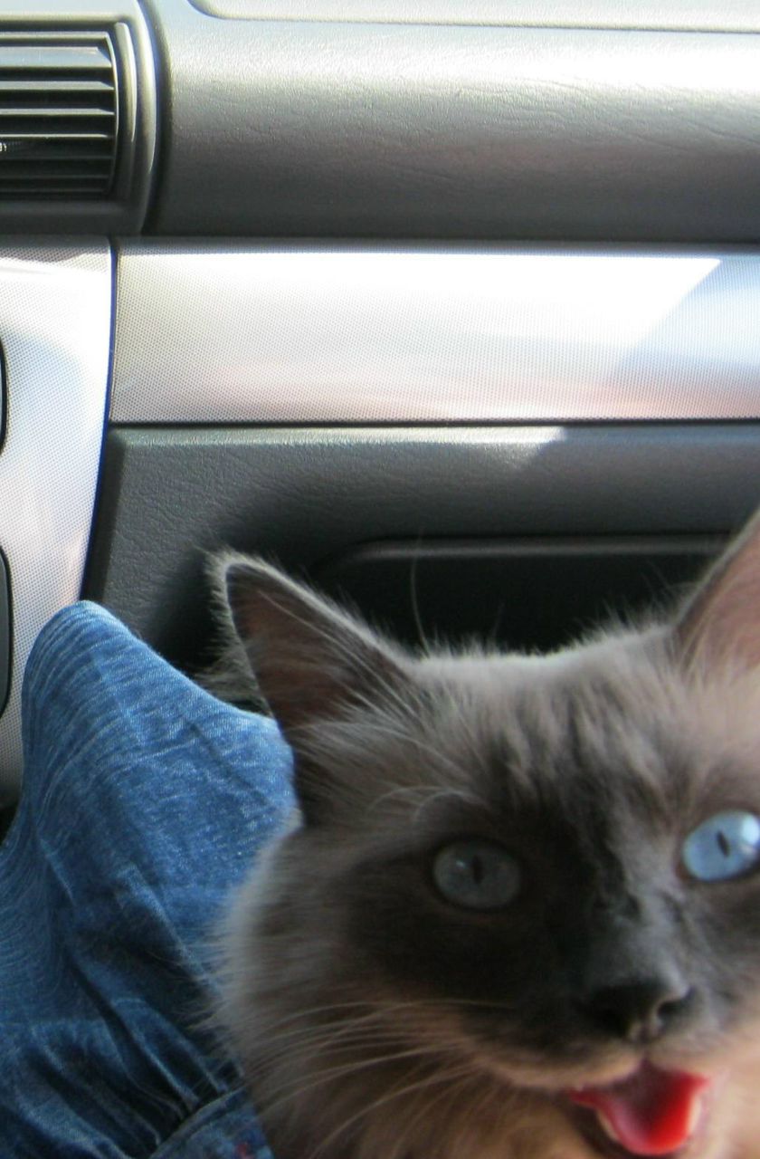 Глеб Тазенков | Нижнекамск