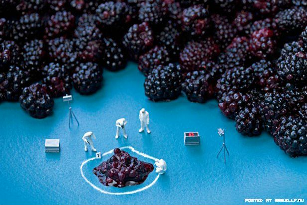 №62, Анжелика Туркова, Харьков №62, Анжелика Туркова, Харьков