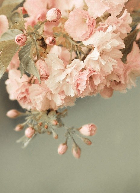 Amoroso Stato | Москва