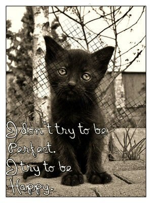 Инна Синдочан | Киев