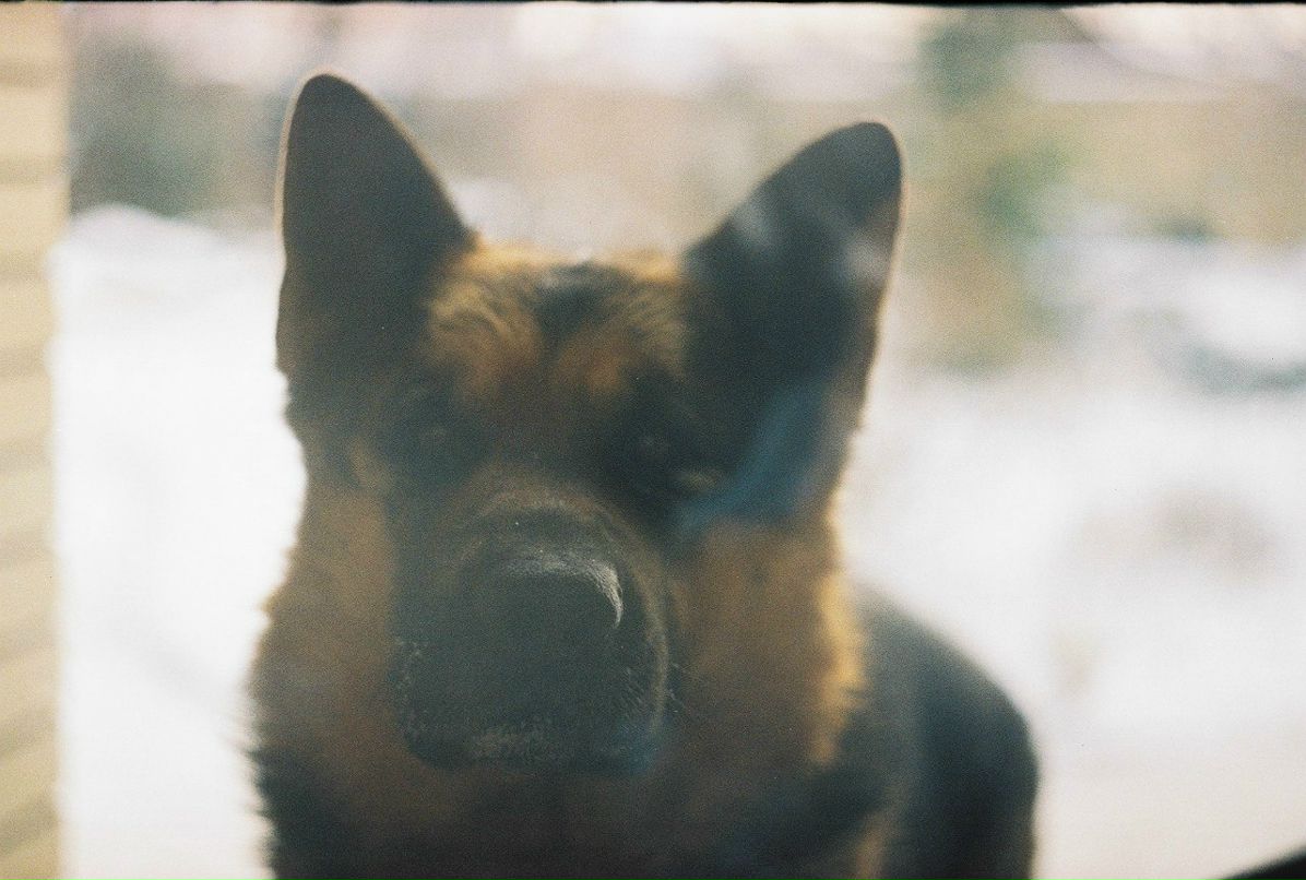 Тома Мироненко | Киев