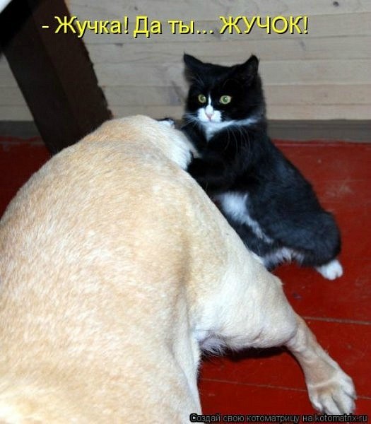 Николай Кононов | Детковичи