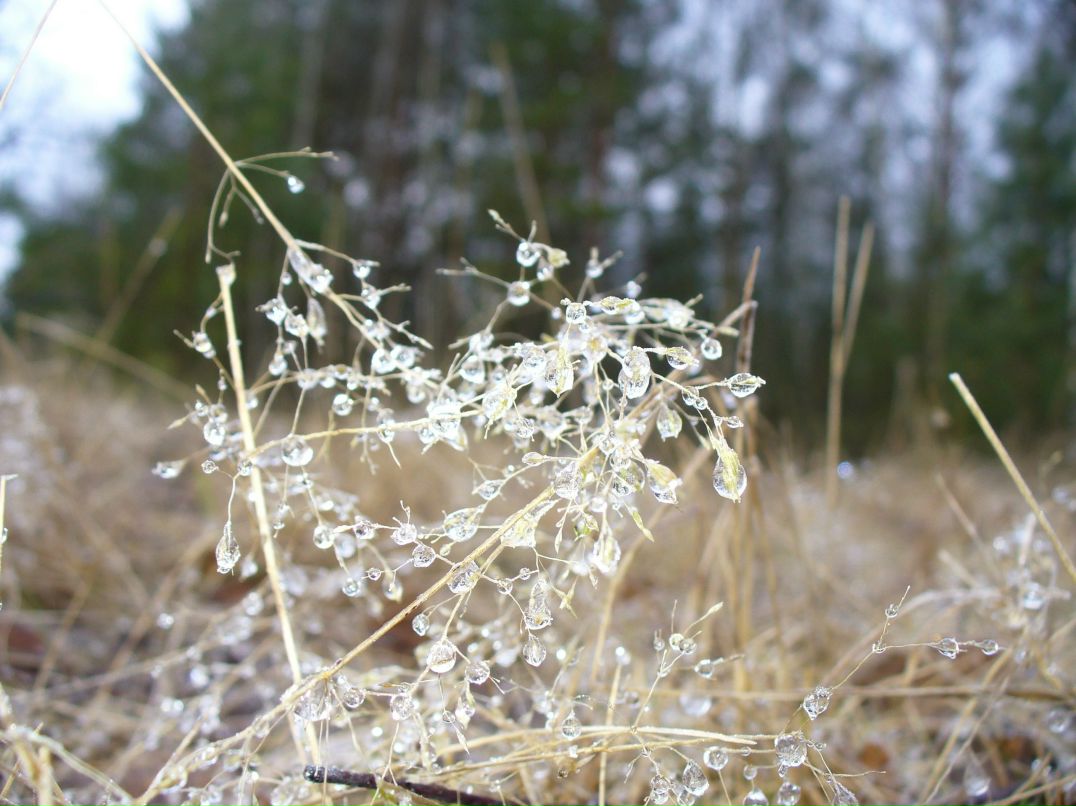 Анна Таболич | Минск
