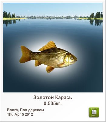 Ольга Серватинская | Саратов