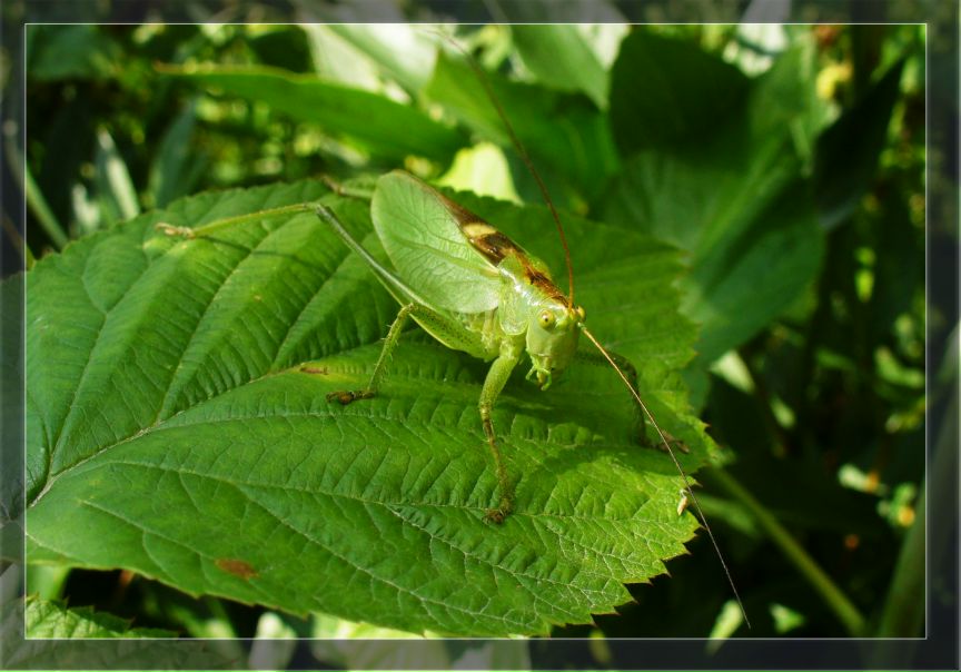 №91, Анастасия Трубникова, Санкт-Петербург №91, Анастасия Трубникова, Санкт-Петербург
