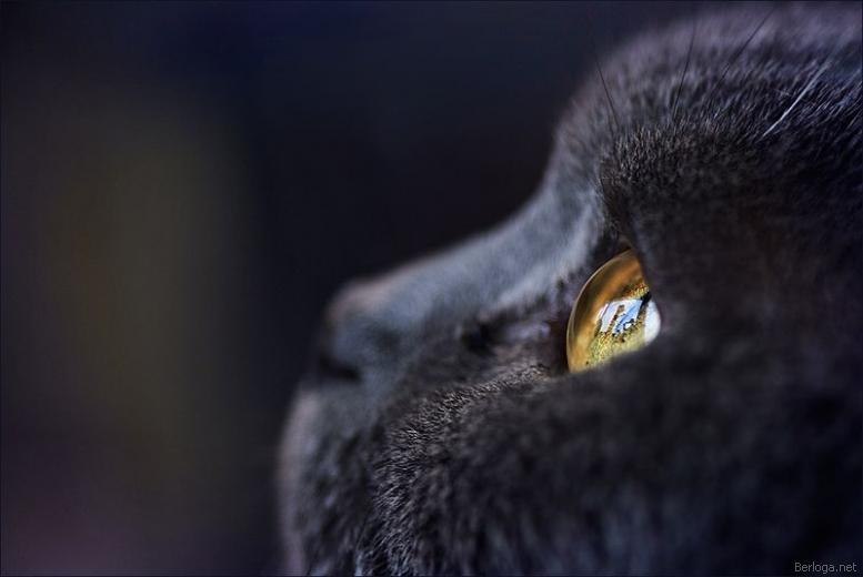 Катерина Блехер | Киев