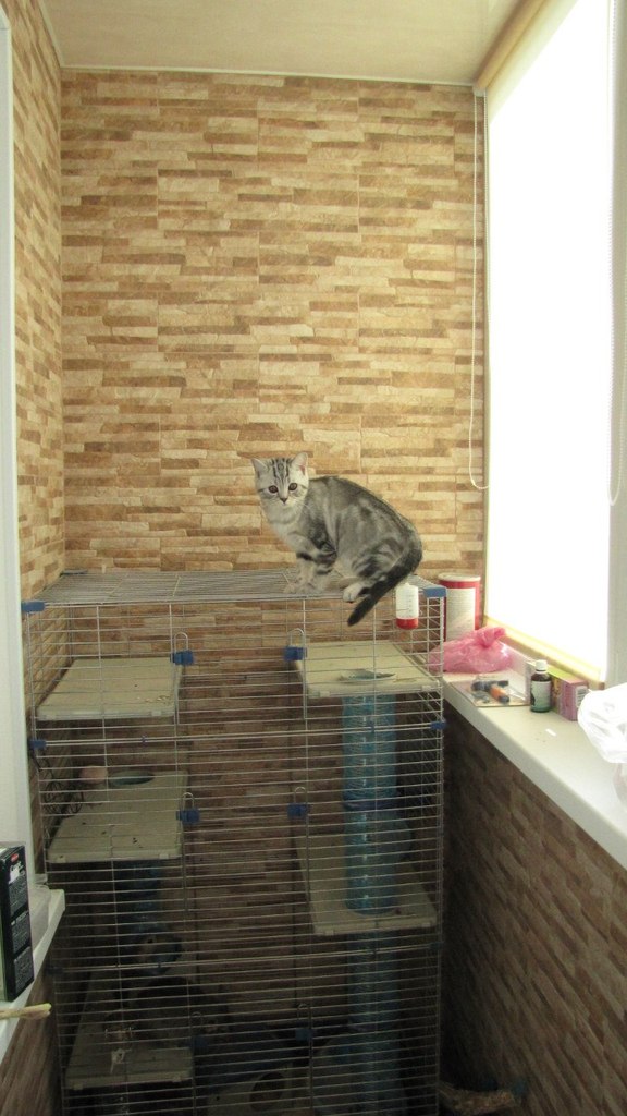 Вероника Кувшинова | Одесса