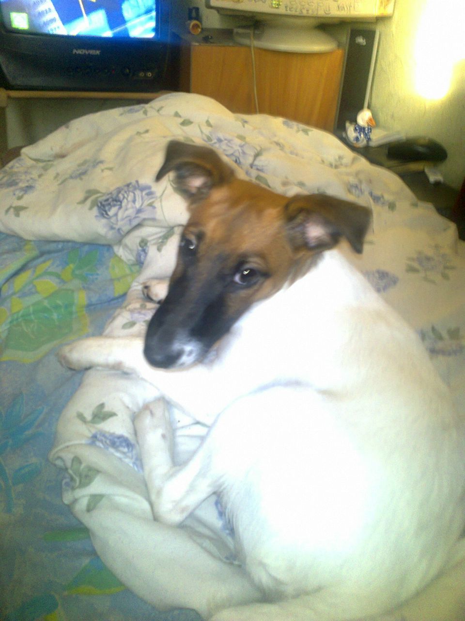 Карен Маркарян | Москва