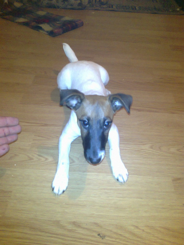 Карен Маркарян | Москва