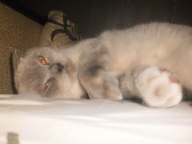 Маша Рашко | Днепр (Днепропетровск)