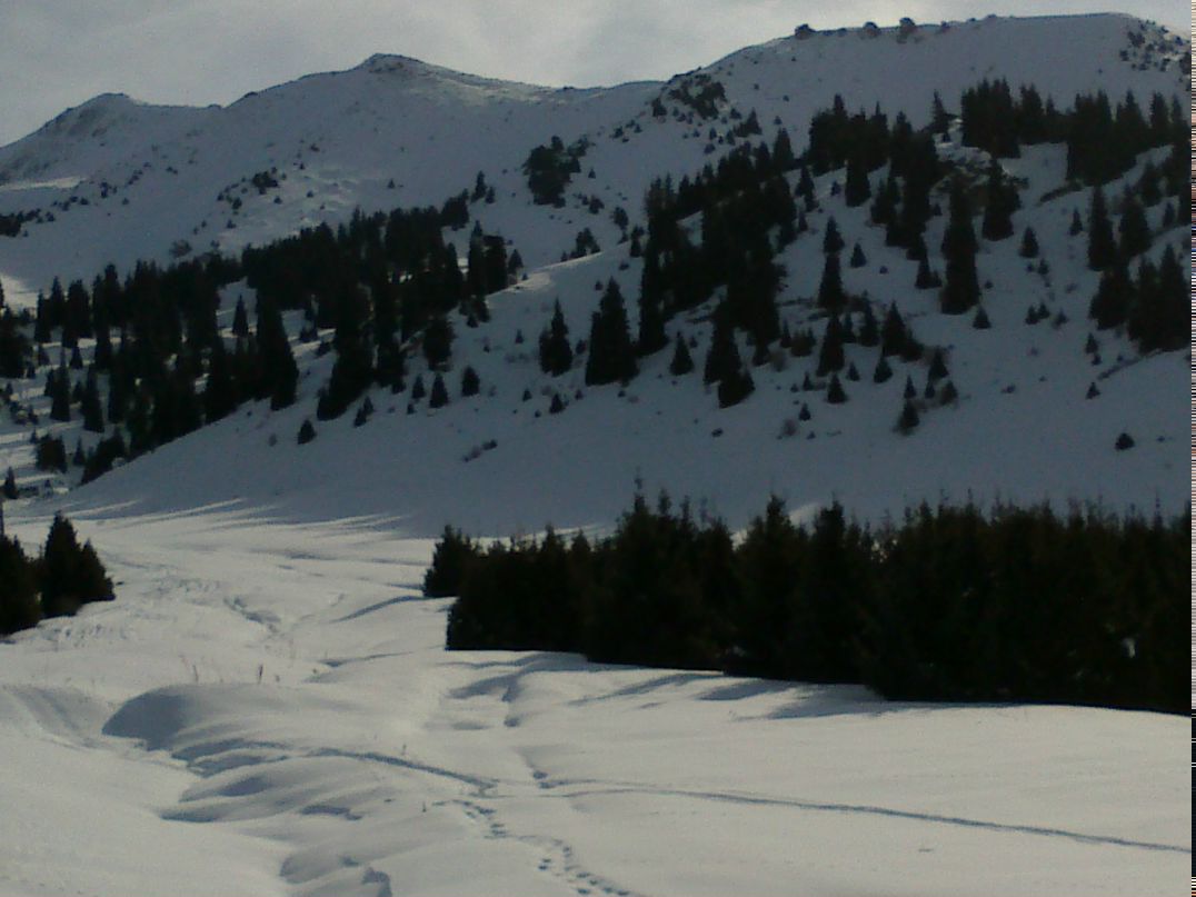 Xoma Advokat <Грошев> | Алматы