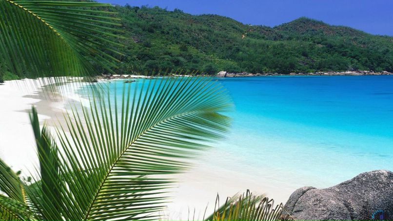 Елена Пшеничная | Москва