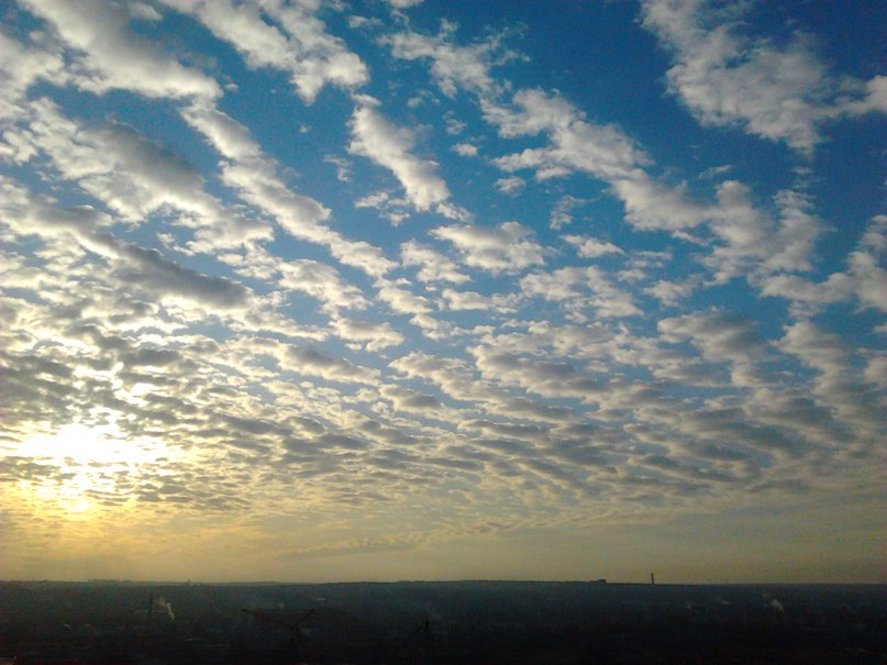 Вероника Скачкова | 