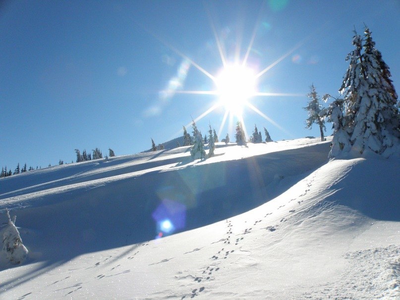 Наталія Тацишин-Войчишин | Ивано-Франковск
