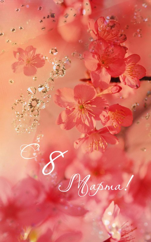 Андрей Шабалдин | Новосибирск