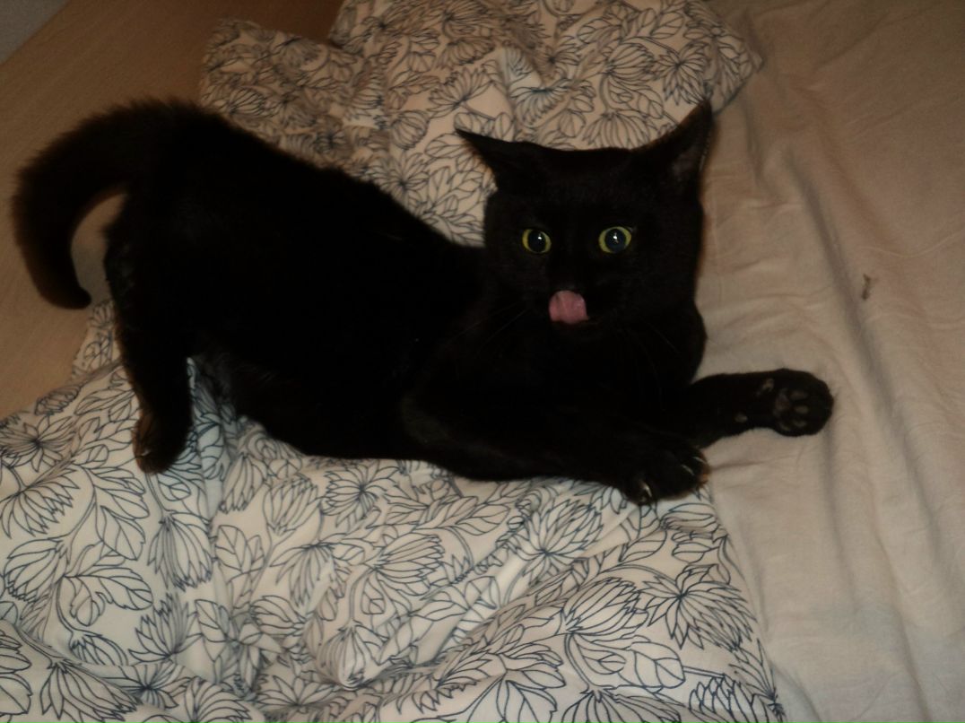 Мария Яковлева | Санкт-Петербург