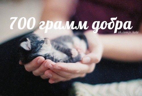 Илья Баженов | Глазов