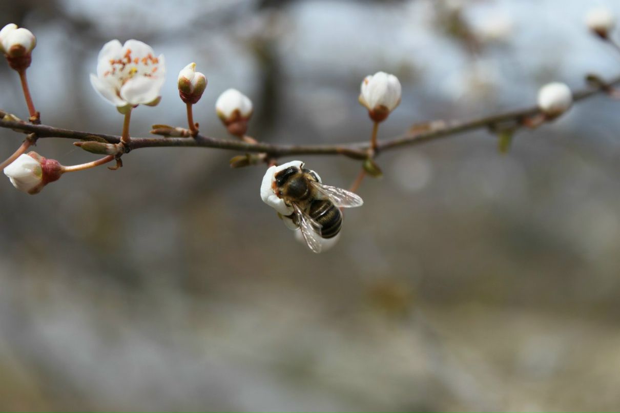 Антон Дерига Antoxxa | Новосибирск