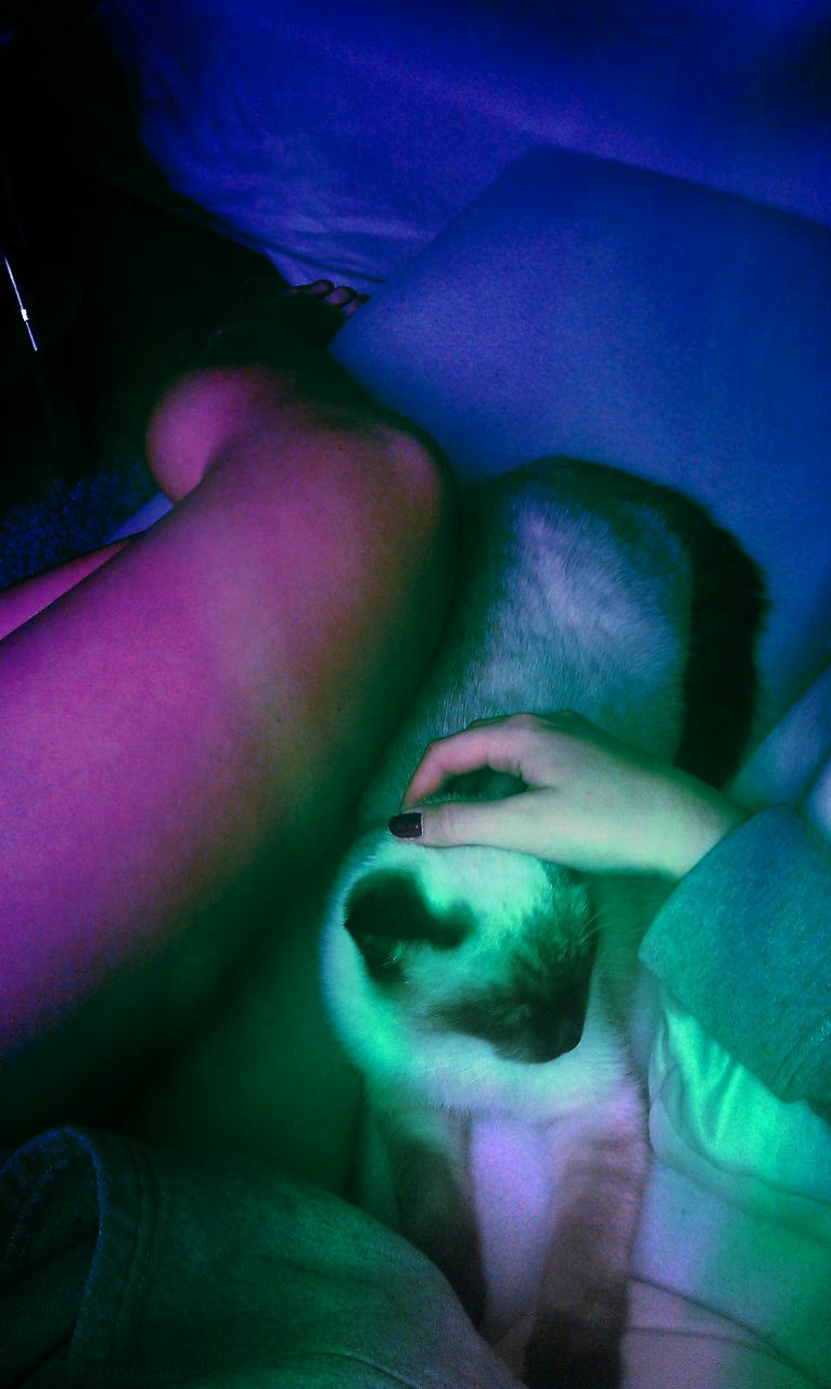 Александра Цыганкова | Los Angeles