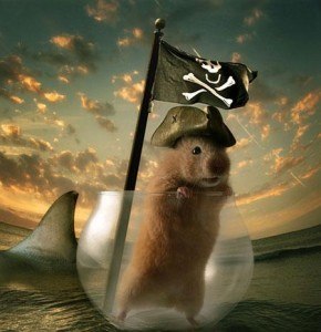 №10, Денис Беликов, 36 лет, Москва №10, Денис Беликов, 36 лет, Москва