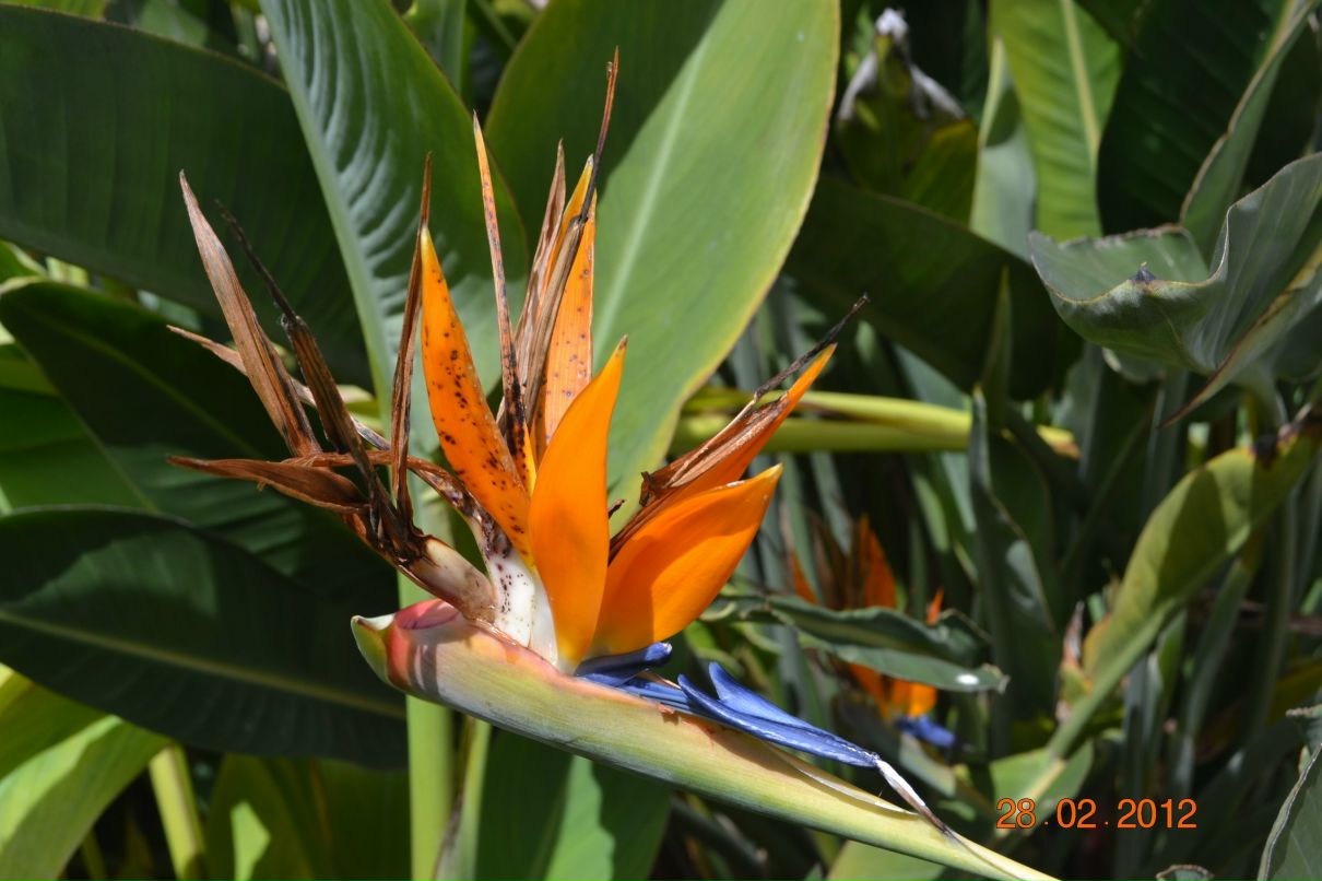 Светланка Колесникова | Красноярск