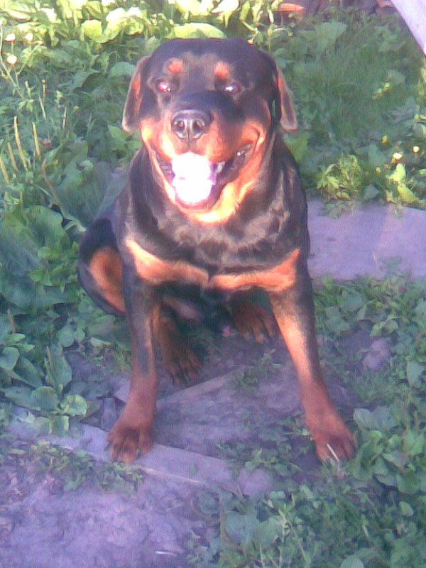 Александр Константинов | Йошкар-Ола