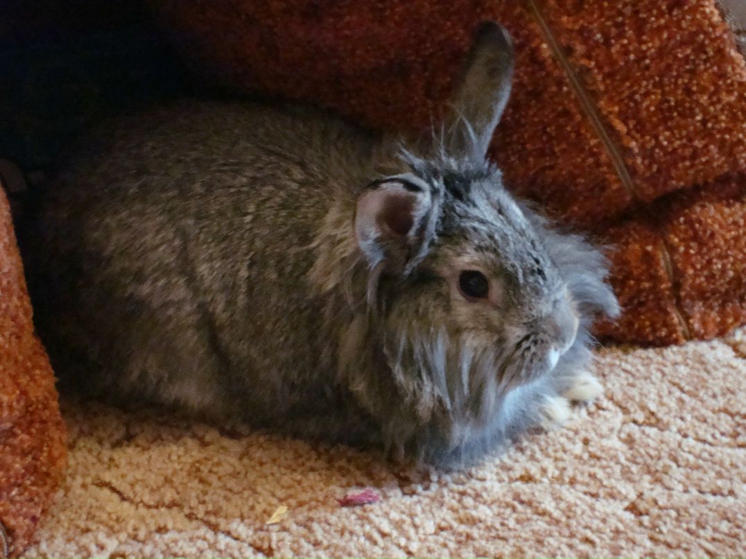 Наталия Титова | Санкт-Петербург