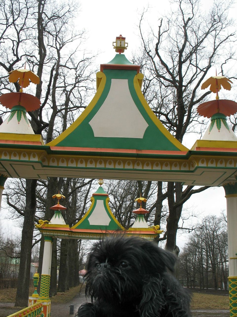 Кристина Зябрева | Санкт-Петербург