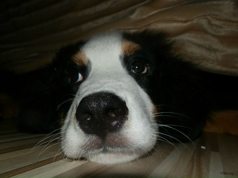 Оля Саакян | Люберцы