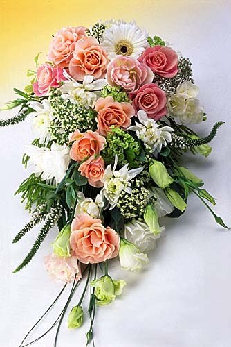 №19, Елена Щербакова №19, Елена Щербакова