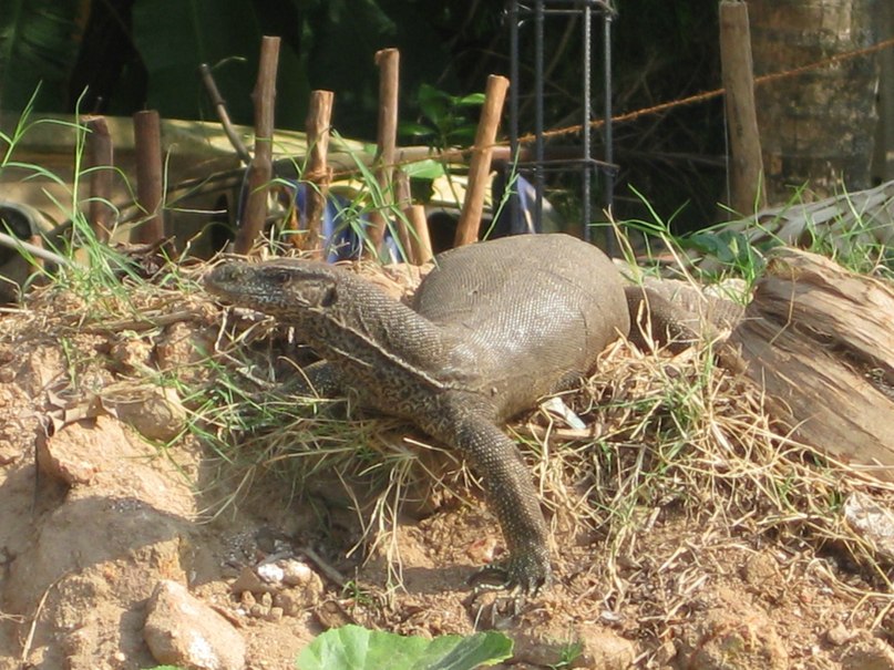 Ксения Сычёва | Самара